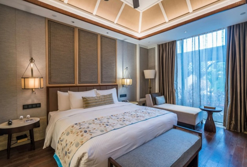 ���Ƶ�ͷ��Ҿ�